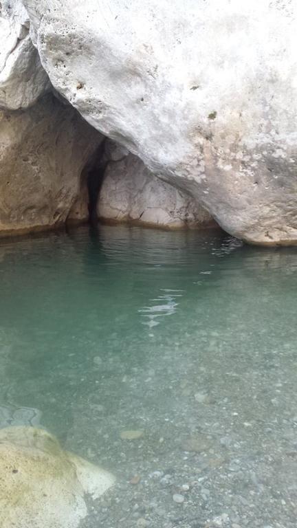 Agriturismo Sugheretello Semproniano المظهر الخارجي الصورة