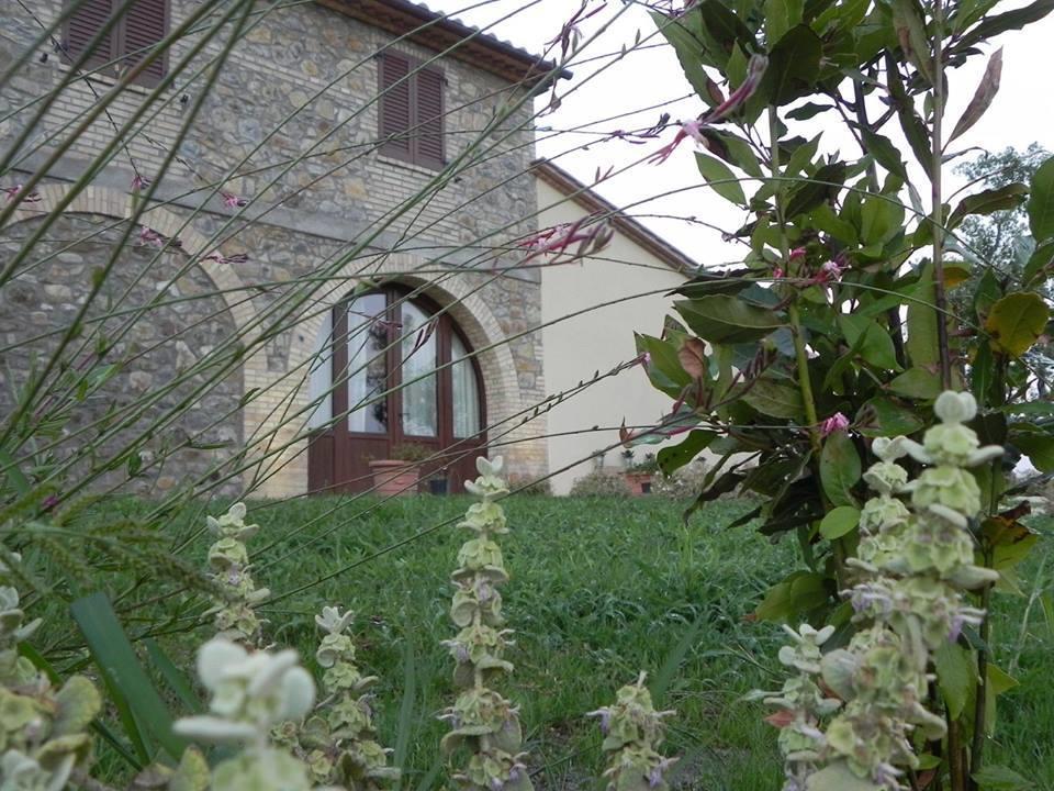 Agriturismo Sugheretello Semproniano المظهر الخارجي الصورة